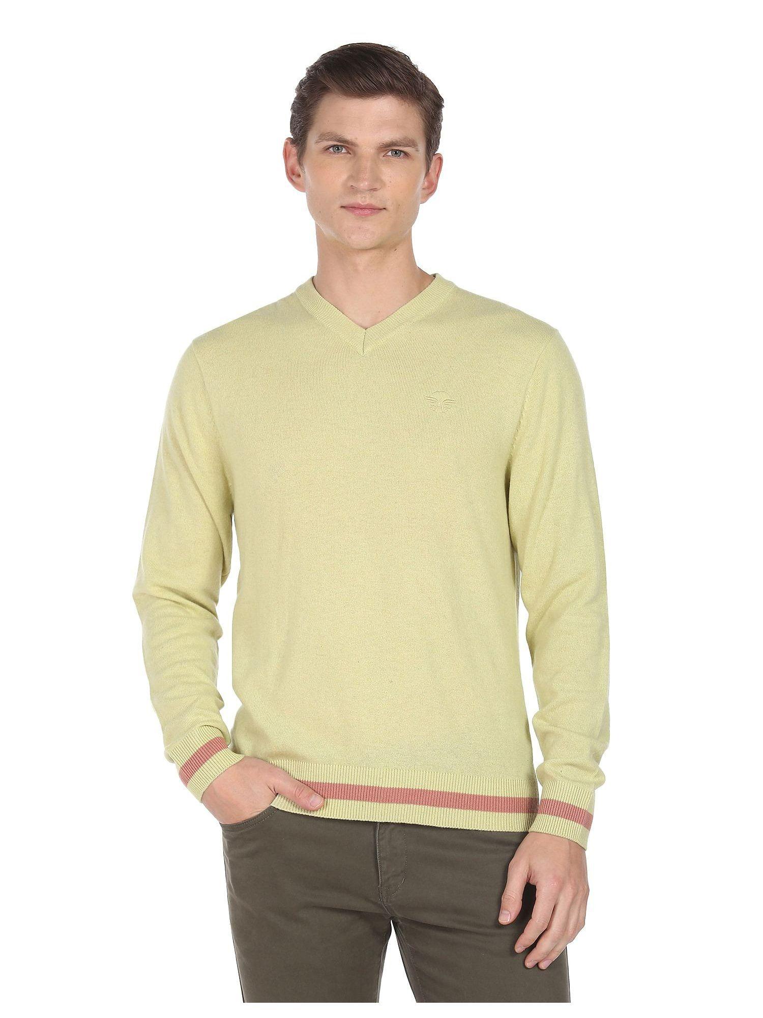 men green v-neck solid sweater