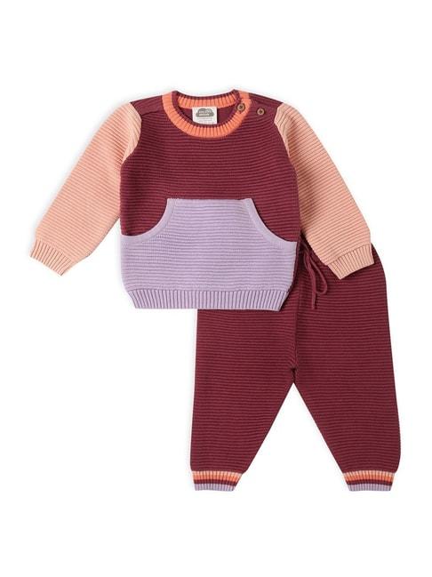 miarcus kids maroon & lilac cotton color block full sleeves pullover set