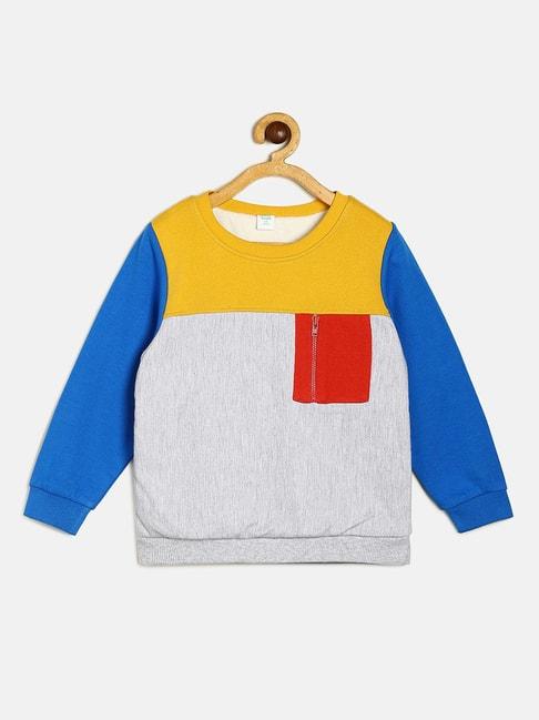 miniklub kids multicolor color block full sleeves sweatshirt