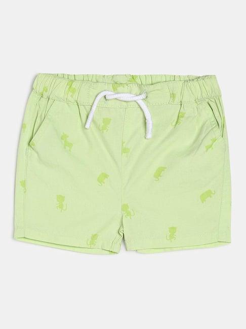 miniklub kids light green printed shorts