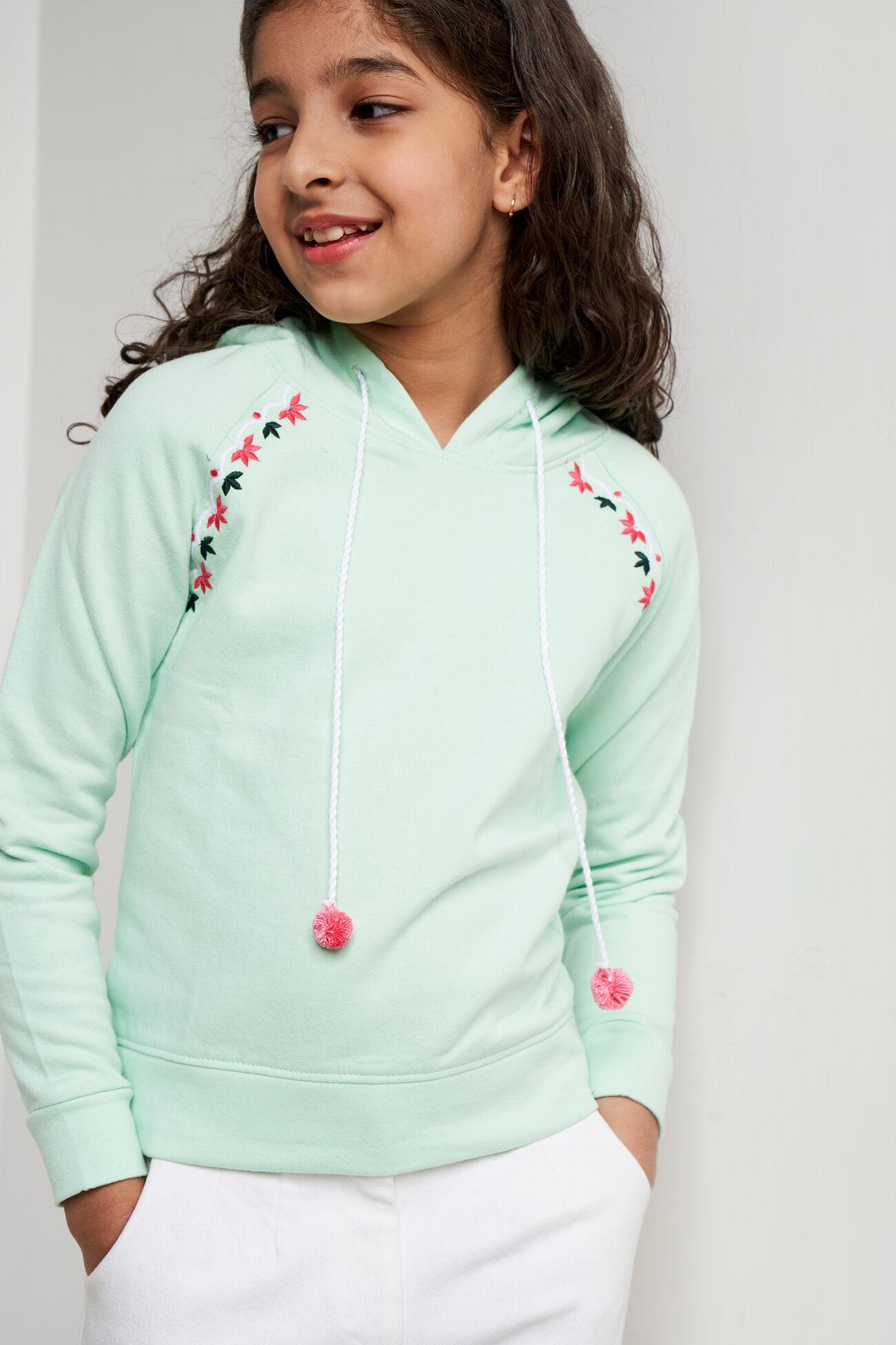 mint solid embroidered top