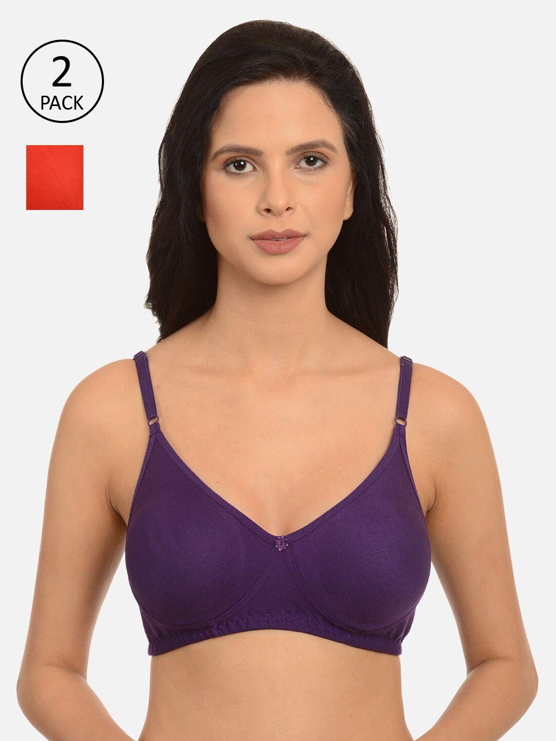 mod & shy assorted set of 2 solid non-wired non padded t-shirt bra ms8485m