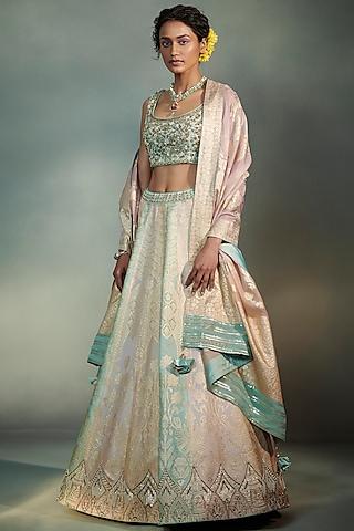 multi colored embroidered lehenga set