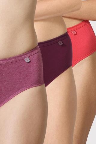 multi-coloured solid women regular fit brief