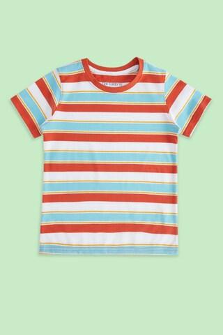 multi-coloured stripe casual half sleeves crew neck boys regular fit t-shirt