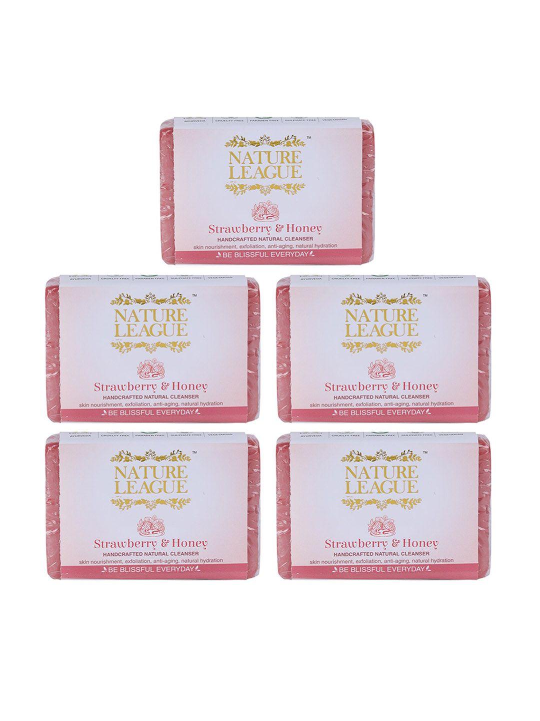 nature league set of 5 strawberry & honey natural paraben free handmade soap-100g each