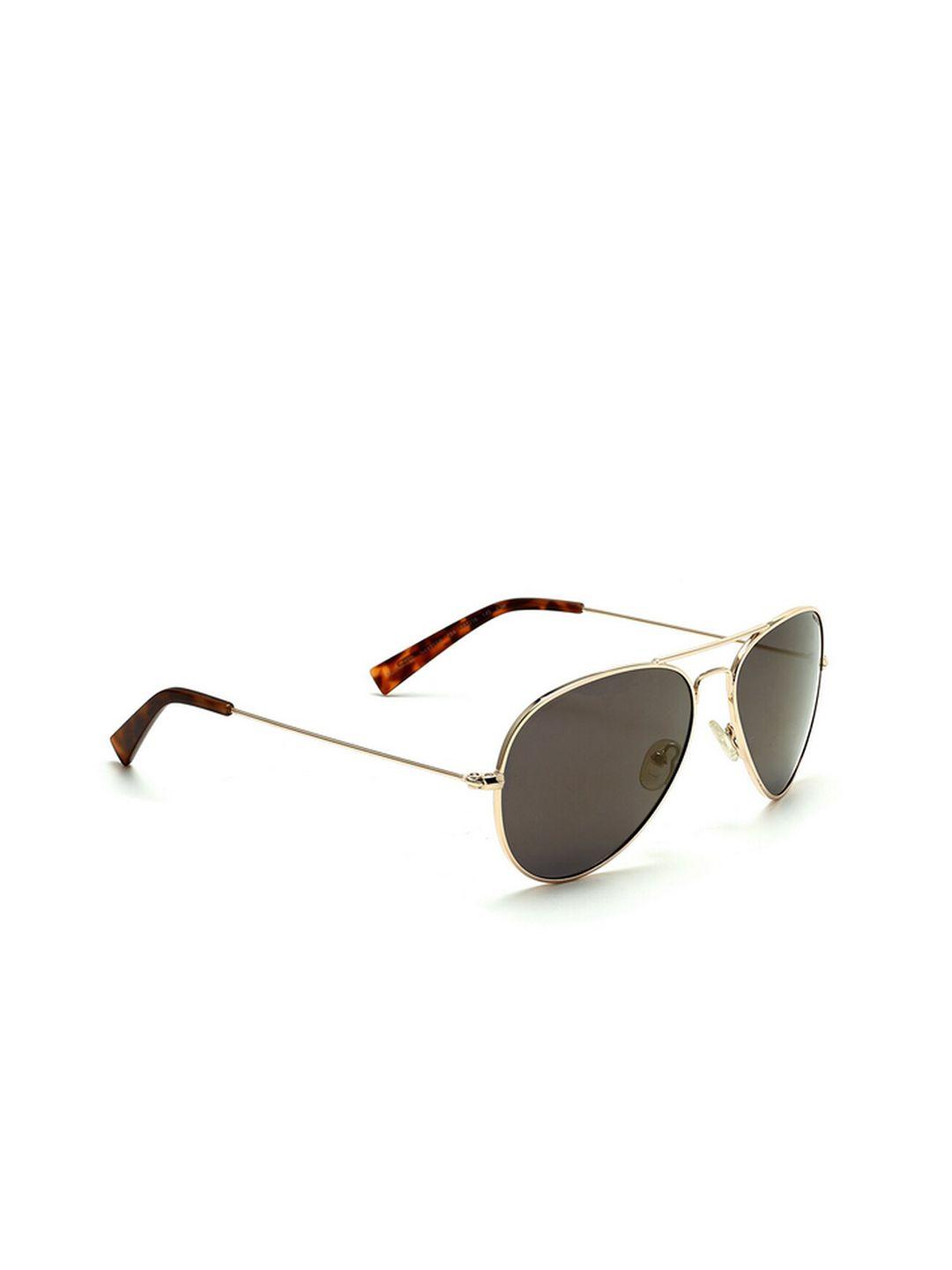 nautica men brown lens & gold-toned aviator sunglasses with polarised and uv protected lens