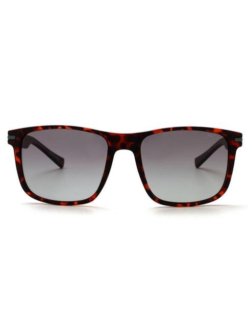 nautica multi wayfarer sunglasses for men