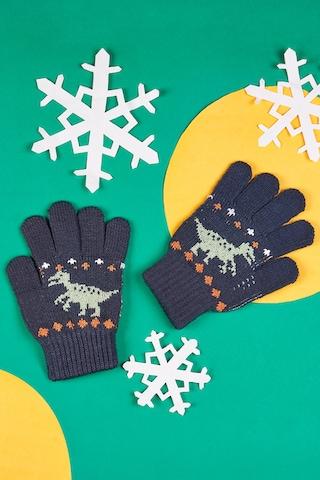 navy  winterwear gloves