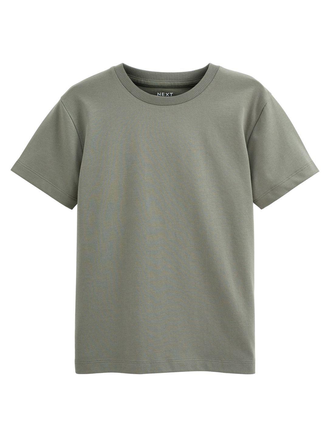 next boys pure cotton t-shirt