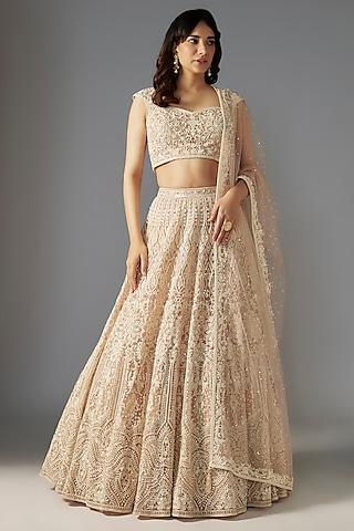 nude net hand embroidered lehenga set