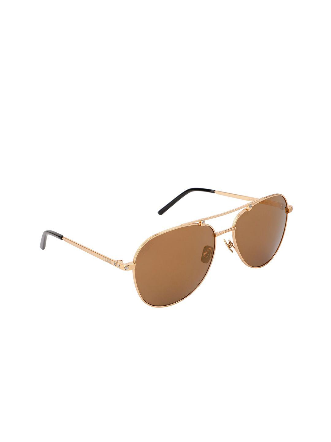numi men brown lens & gold-toned aviator sunglasses with uv protected lens