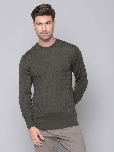 olive solid round neck sweater