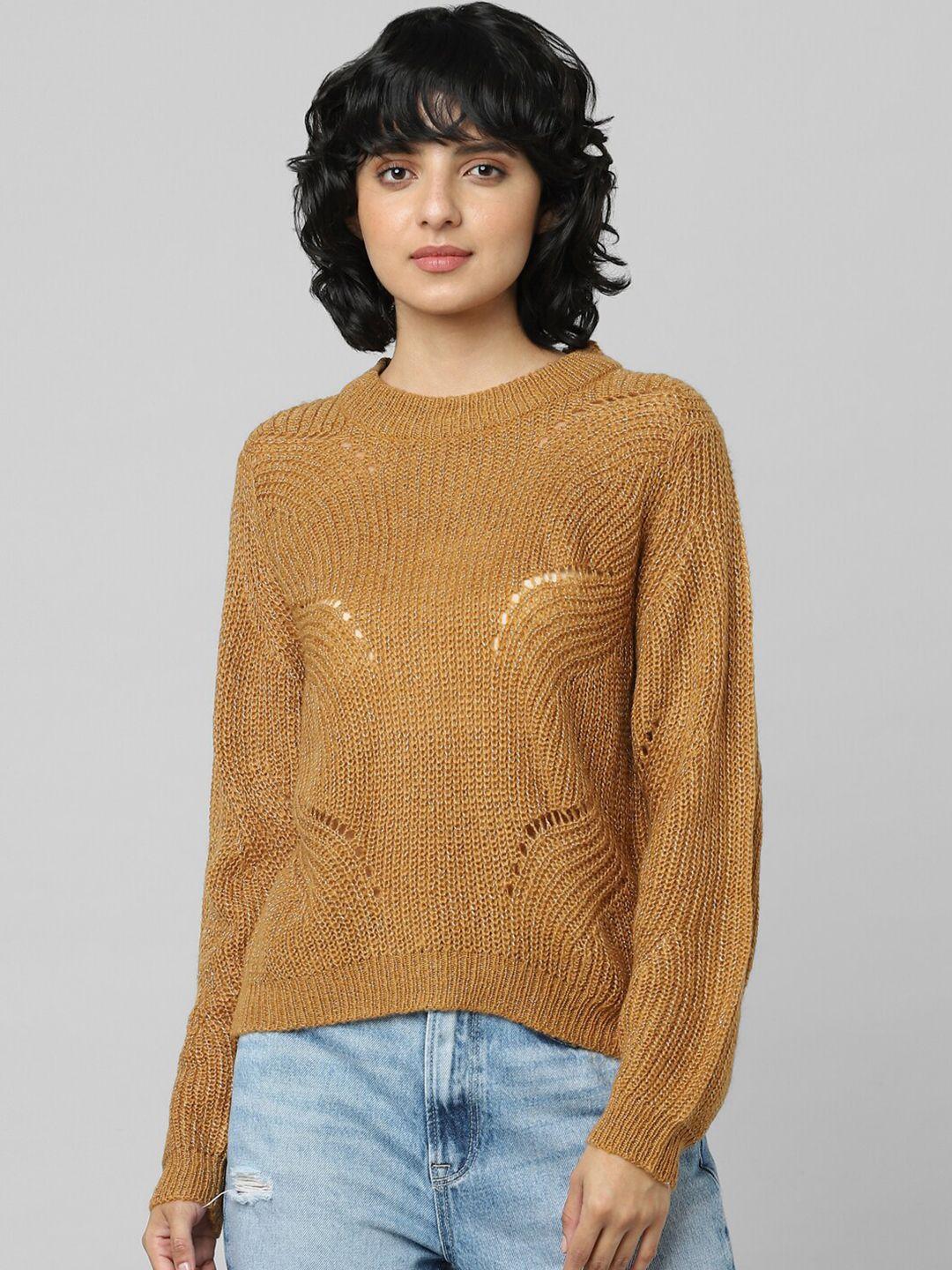 only women brown solid pullover