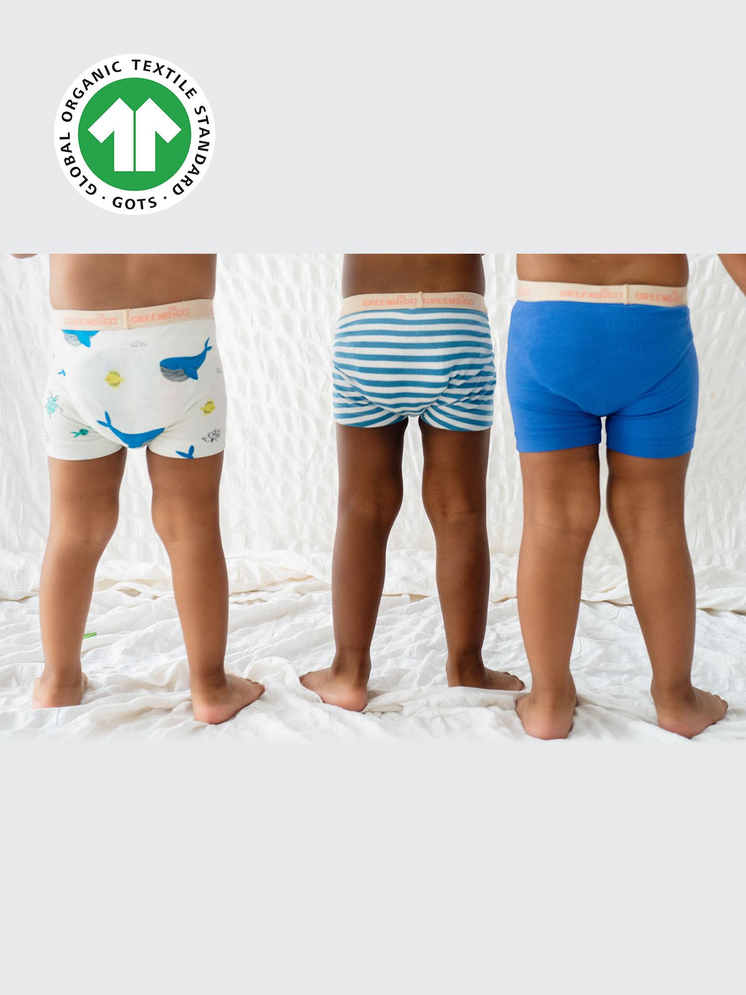 organic cotton boys printed briefs (pack of 3)
