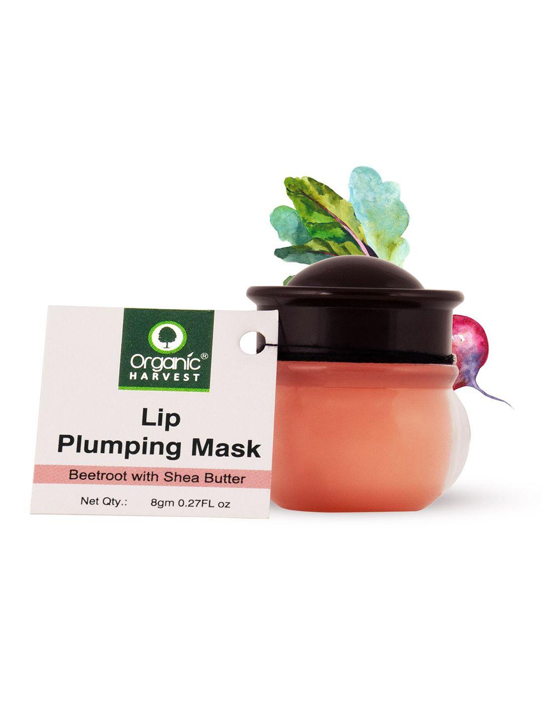 organic harvest lip plumping mask with beetroot extracts 8gm