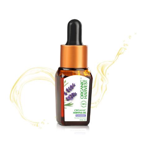 organic harvest organic essential oil: lavender | essential oil for face care, skin care & hair care | for home fragrance | 100% american certified organic | sulphate & paraben-free |10ml