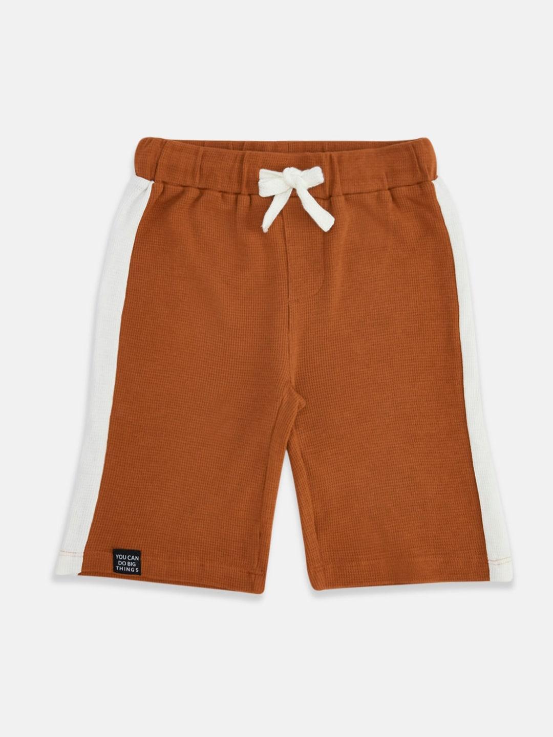 pantaloons junior boys rust cotton shorts