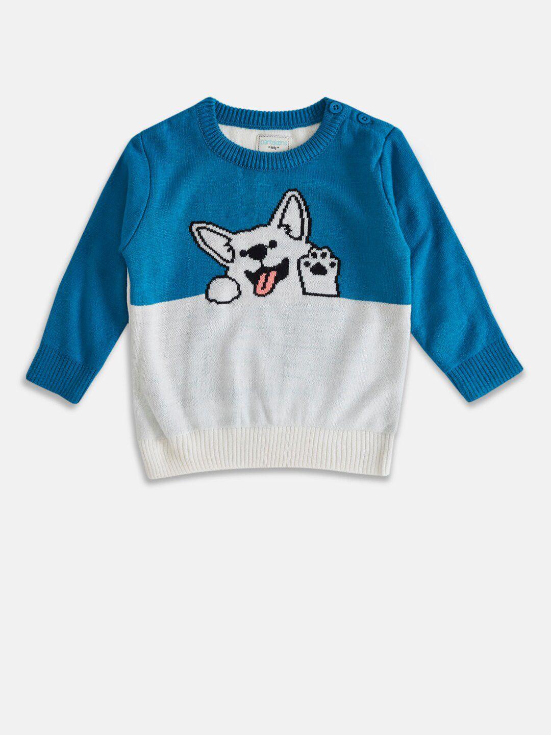 pantaloons baby boys blue & white printed pullover