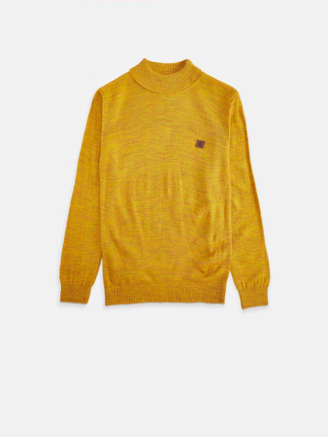 pantaloons junior boys yellow  solid pullover