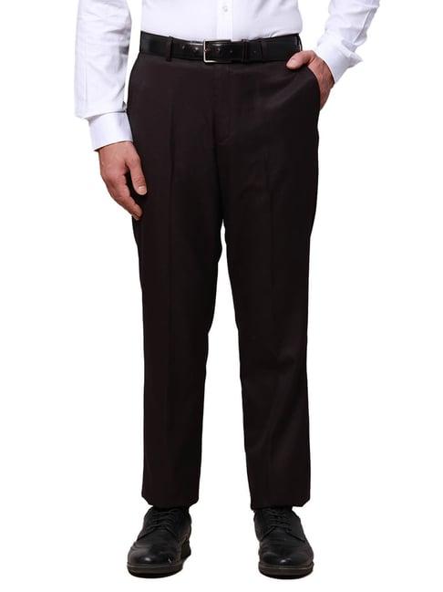 park avenue violet regular fit self pattern trousers