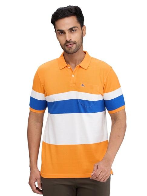 parx multicolored regular fit striped polo t-shirt