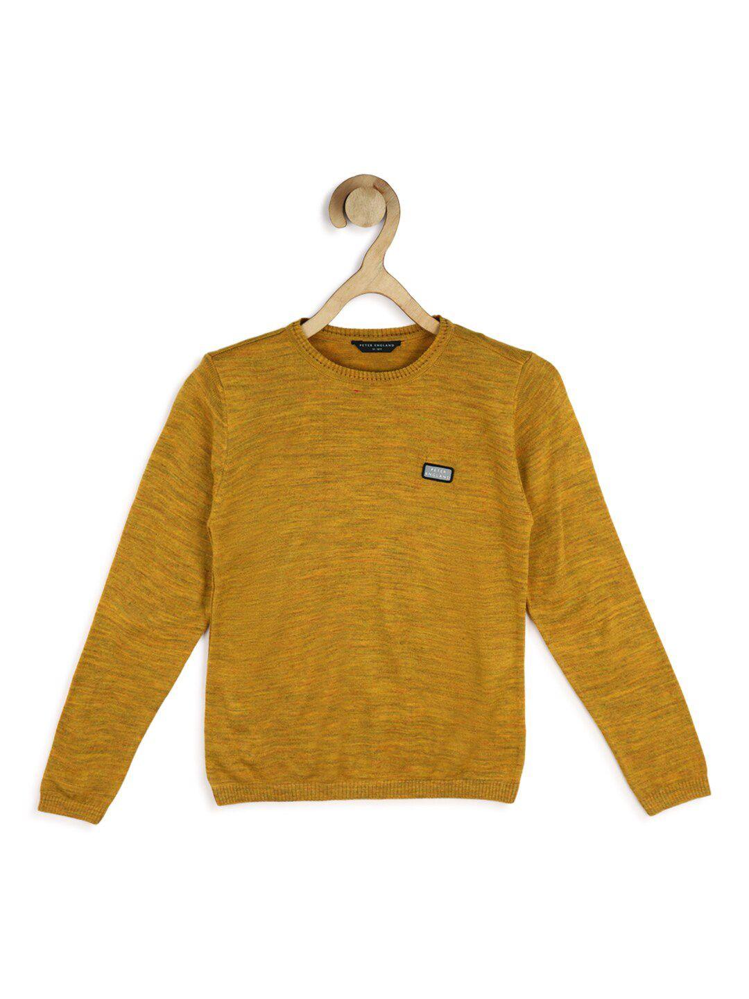 peter england boys printed pullover