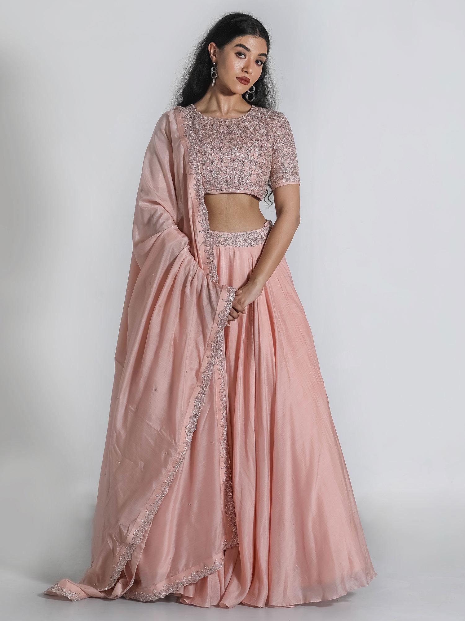 pink embellished lehenga and choli with dupatta (set of 3)