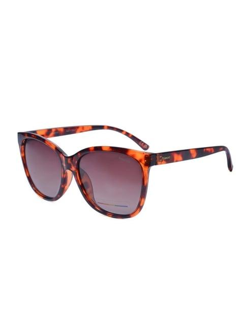 polaroid brown cat eye uv protection sunglasses for women