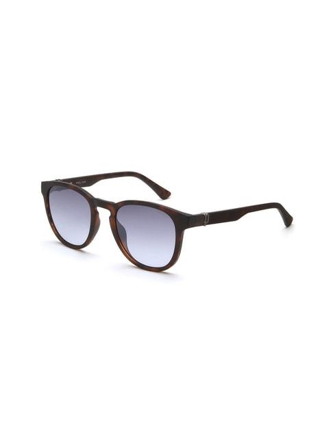 police grey oval sunglasses for men