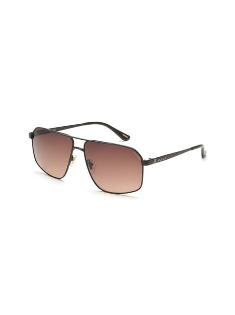 police brown square sunglasses for men