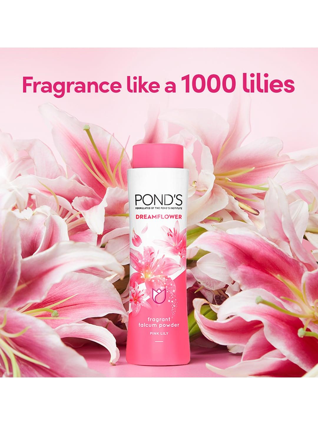 ponds dreamflower pink lily fragrant talc with vitamin b3 - 200g