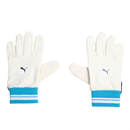 puma future 20.1 wicket keeper gloves