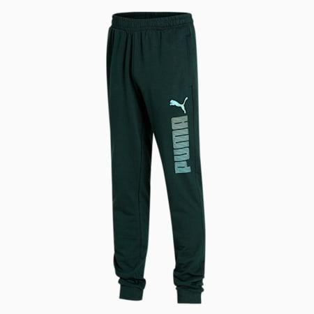 puma graphic men's pants