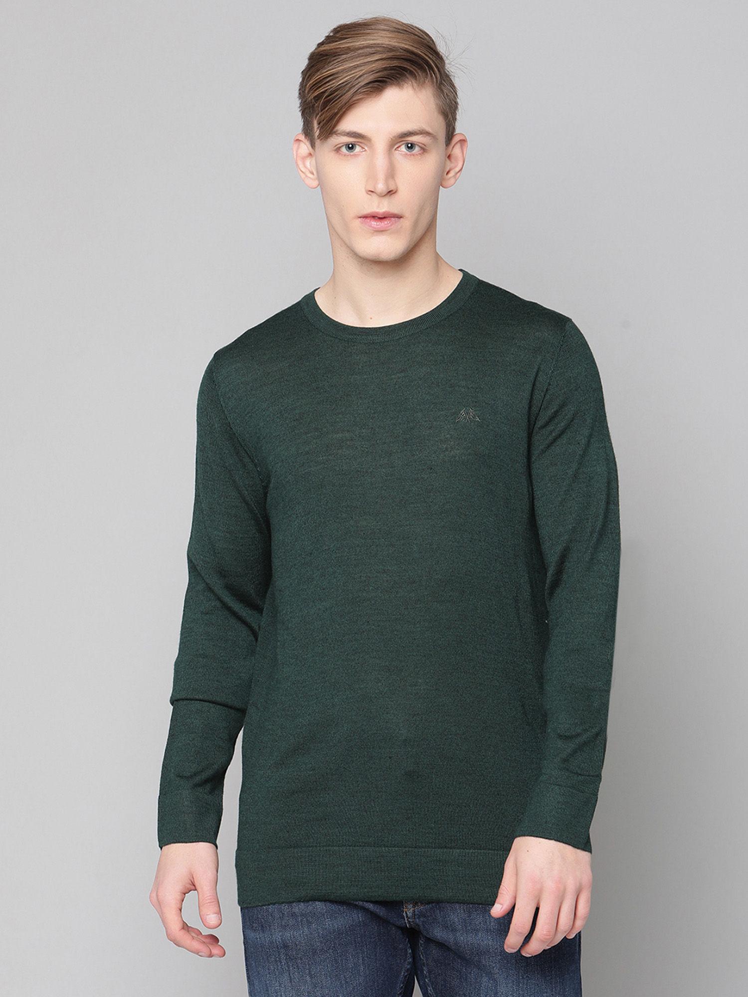 pure green solid round neck sweater