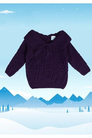 purple woven casual full sleeves peter pan collar girls regular fit sweater