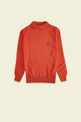 red solid casual full sleeves turtle neck boys regular fit sweater
