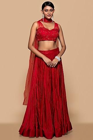 red modal & tulle hand embroidered lehenga set