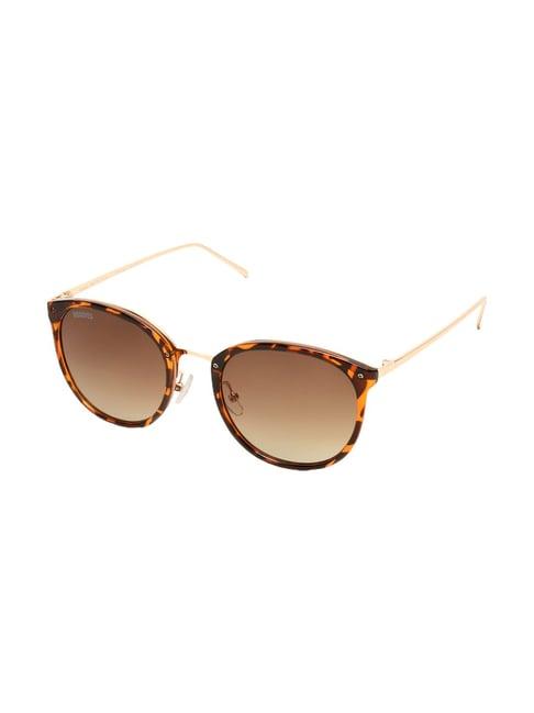 roadies brown boston unisex sunglasses