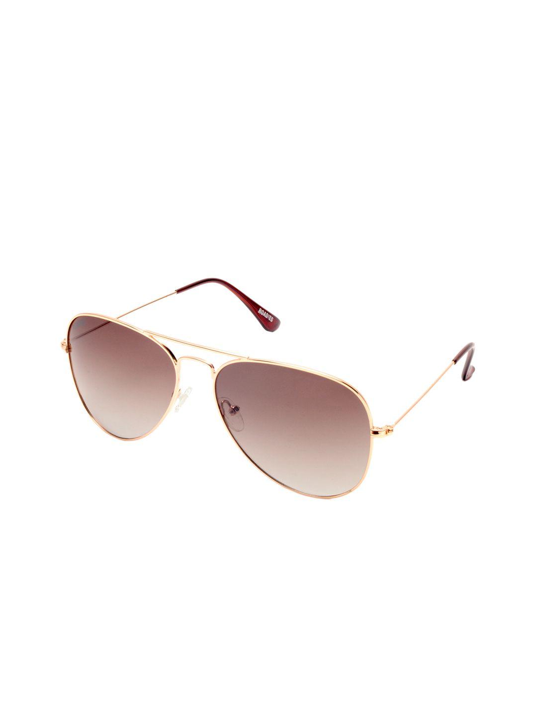 roadies unisex brown lens & gold-toned oval sunglasses with polarised lens