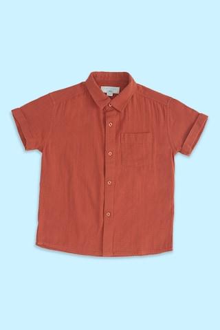 rust solid casual half sleeves regular collar boys regular fit shirt