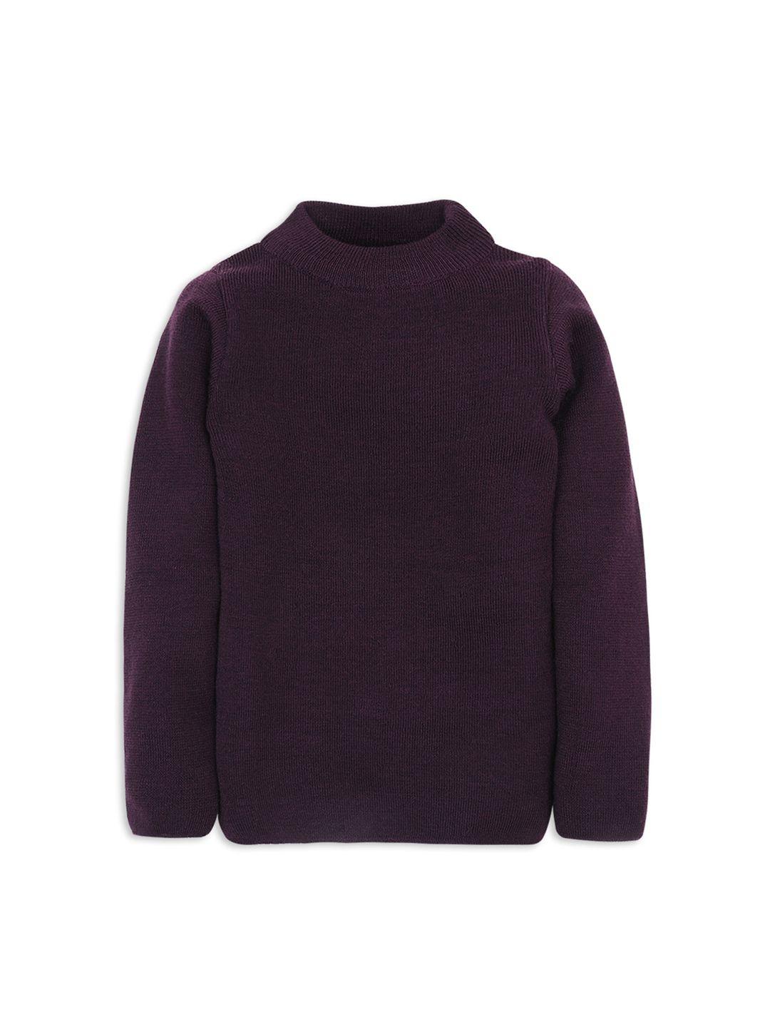 rvk kids purple solid sweater