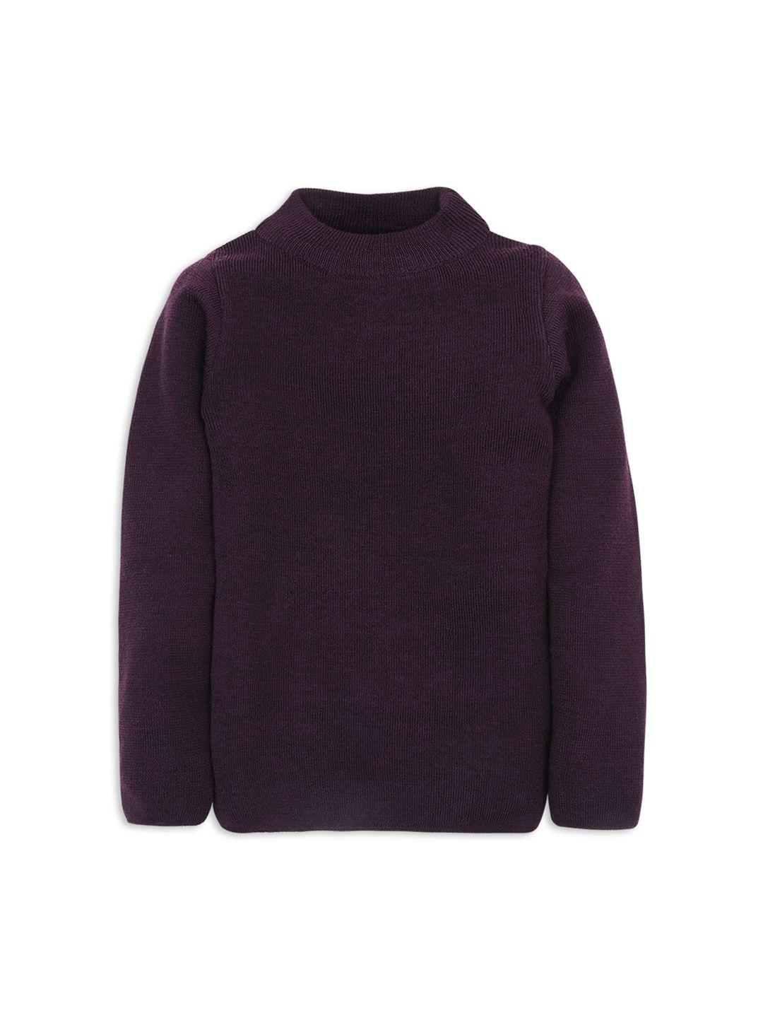 rvk kids purple solid sweater