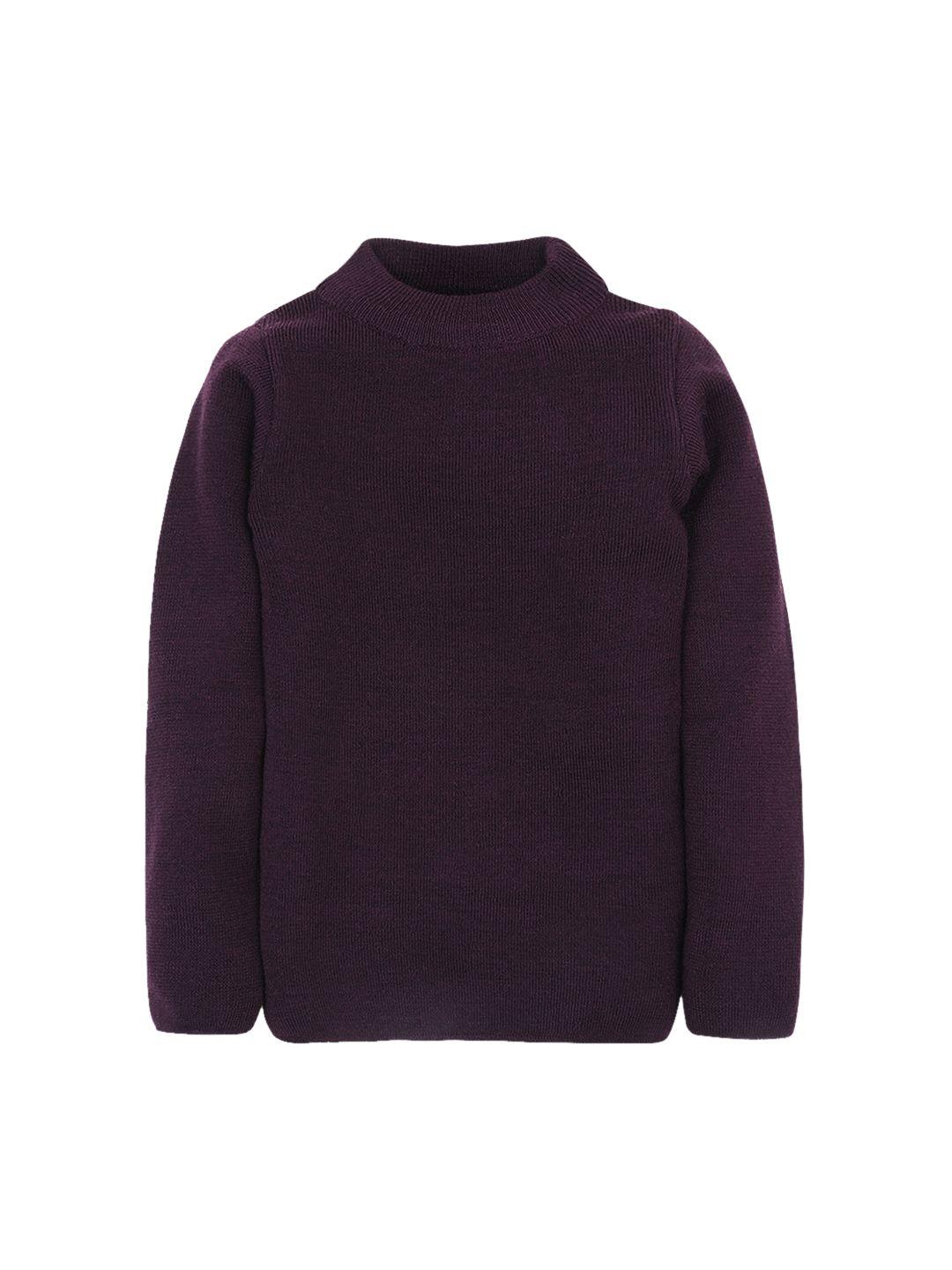 rvk kids purple solid sweater