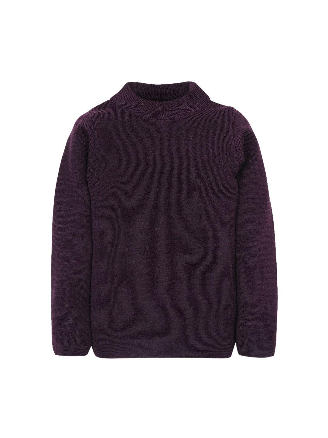 rvk kids purple solid sweater