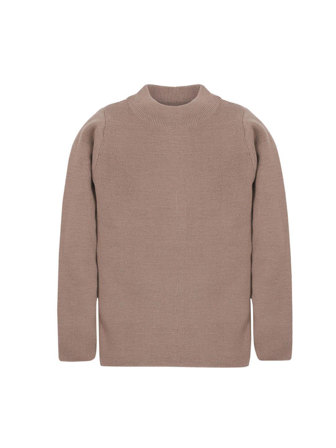 rvk unisex brown solid pullover sweater