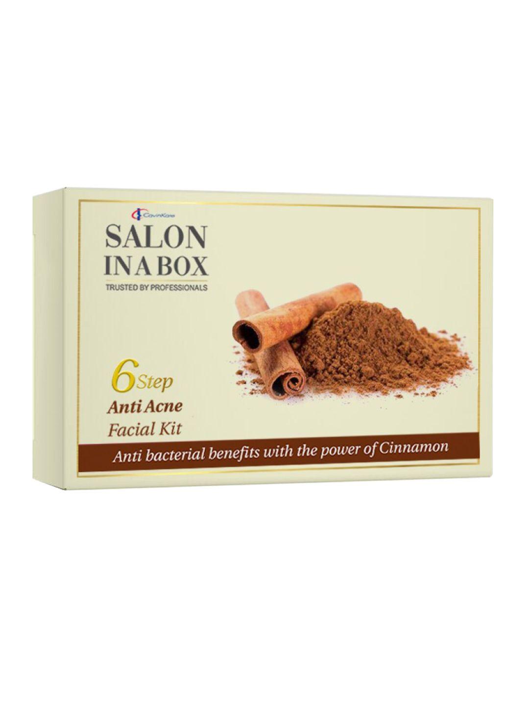 salon in a box anti acne facial kit with cinnamon extract - 59 g