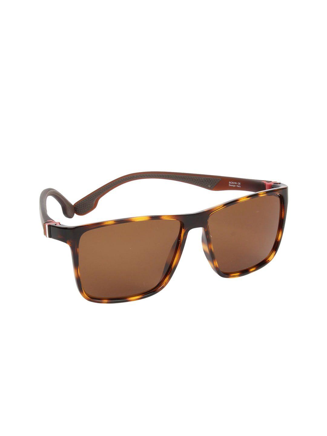 scavin men brown lens & brown square sunglasses with polarised lens sca s19902 da