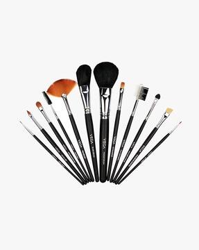 set of 12 brushes - (lk-12)