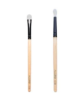 set of 2 eyeshadow & eye brush set